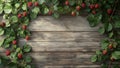 raspberry fruit plant tree background Royalty Free Stock Photo