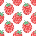 Raspberry fruit seamless pattern. Food sketch illustration. Natural background