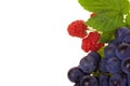 Raspberry and grapes fruit