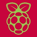 Raspberry green flat silhouette icon