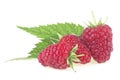 Raspberry with green leaves isolated on white background Royalty Free Stock Photo