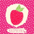 Raspberry hand drawn sketched fruit with leaf on background with dots pattern. Doodle vector raspberry for logo, label, brand iden