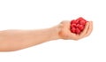 raspberry heap in hand