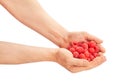 raspberry heap in hand
