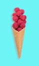 Raspberry ice cream cone with fresh fruits Royalty Free Stock Photo