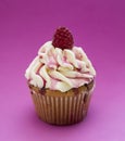 Raspberry ice Cream Cupcake Royalty Free Stock Photo