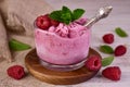 Raspberry ice cream in a glass with fresh raspberries. Close-up. Royalty Free Stock Photo