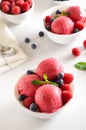 Raspberry ice cream scoop with fresh raspberries and blueberries in bowl Royalty Free Stock Photo