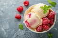 Raspberry Ice Cream Scoops with Fresh Mint Royalty Free Stock Photo