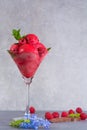 Raspberry ice cream sorbet in glass with chocolate spoon, raspberry, mint leaves and blue flowers, copy space Royalty Free Stock Photo