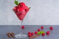 Raspberry ice cream sorbet in glass with chocolate spoon, raspbe Royalty Free Stock Photo