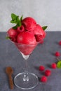 Raspberry ice cream sorbet in glass with chocolate spoon, raspberry, mint leaves copy space Royalty Free Stock Photo