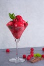 Raspberry ice cream sorbet in glass with chocolate spoon, raspberry, mint leaves copy space Royalty Free Stock Photo