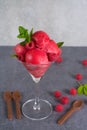 Raspberry ice cream sorbet in glass with chocolate spoon, raspberry, mint leaves copy space Royalty Free Stock Photo