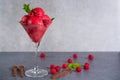 Raspberry ice cream sorbet in glass with chocolate spoon, raspberry, mint leaves copy space Royalty Free Stock Photo