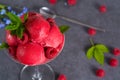 Raspberry ice cream sorbet in glass with raspberry, mint leaves Royalty Free Stock Photo