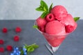 Raspberry ice cream sorbet in glass with raspberry, mint leaves Royalty Free Stock Photo