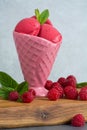 Raspberry ice cream sorbet in pink porcelaine cone with raspberry, mint leaves copy space on wooden plank and grey textured back Royalty Free Stock Photo