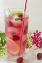 Raspberry ice tea with lemon raspberry and ice cubes on a table Royalty Free Stock Photo