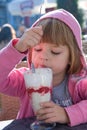 Raspberry icecream Royalty Free Stock Photo