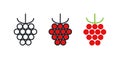 Raspberry icon. Linear color icon, contour, shape, outline. Thin line. Modern minimalistic design. Vector set