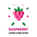 Raspberry icon, logo, berry vector illustration. Flat raspberry icon, logo for web, design, package. Abstract flat