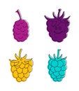 Raspberry icon set, color outline style Royalty Free Stock Photo