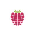 Raspberry icon, simple design, Raspberry icon clip art.