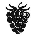 Raspberry icon, simple style