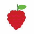 Raspberry icon vector image.