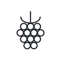 Raspberry icon. Vector linear icon, contour, shape, outline isolated on a white background. Thin line. Modern