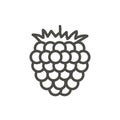 Raspberry icon vector. Outline berry, line fruit symbol.