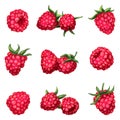 Raspberry icons set cartoon vector. Sweet food Royalty Free Stock Photo