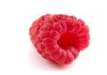 Raspberry isolated Royalty Free Stock Photo