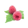 Raspberry isolated Royalty Free Stock Photo