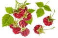 Raspberry isolated. Branch with red ripe berries and green leaves on white background as detail for packaging design Royalty Free Stock Photo