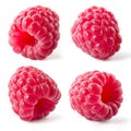 Raspberry isolated. Collection