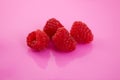 Raspberry isolated on pink background Royalty Free Stock Photo