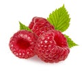 Raspberry isolated. Three sweet red ripe raspberry berries and green fresh leaf isolated on white background Royalty Free Stock Photo