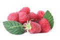 Raspberry isolated white Royalty Free Stock Photo