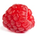 Raspberry isolated on white