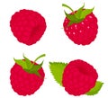 Raspberry, isolated on white bacground. Raspberry vector set, whole and slice of raspberry with green tail and leaf. Flat design Royalty Free Stock Photo