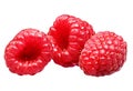 Raspberry It is isolated on a white background