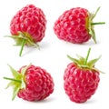 Raspberry isolated on white background. Collection. Royalty Free Stock Photo