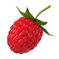 Raspberry isolated on white 3d render