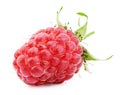 Raspberry isolated on white Royalty Free Stock Photo