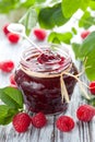 Raspberry jam Royalty Free Stock Photo