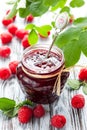 Raspberry jam Royalty Free Stock Photo