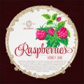 Raspberry Jam Label template design. Vector illustration Royalty Free Stock Photo