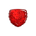 raspberry jelly candy cartoon vector illustration